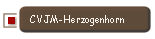 CVJM-Herzogenhorn