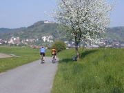 P1010011