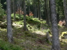 85